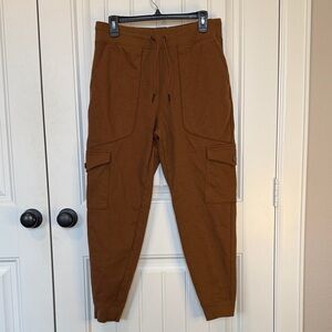 DSG Men's Rust Cargo Jogger Pants